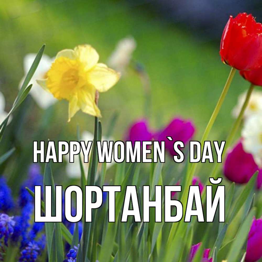 Greetings card с именем, ШОРТАНБАЙ happy women`s day международный женский день 3 Greetings with text for free download 